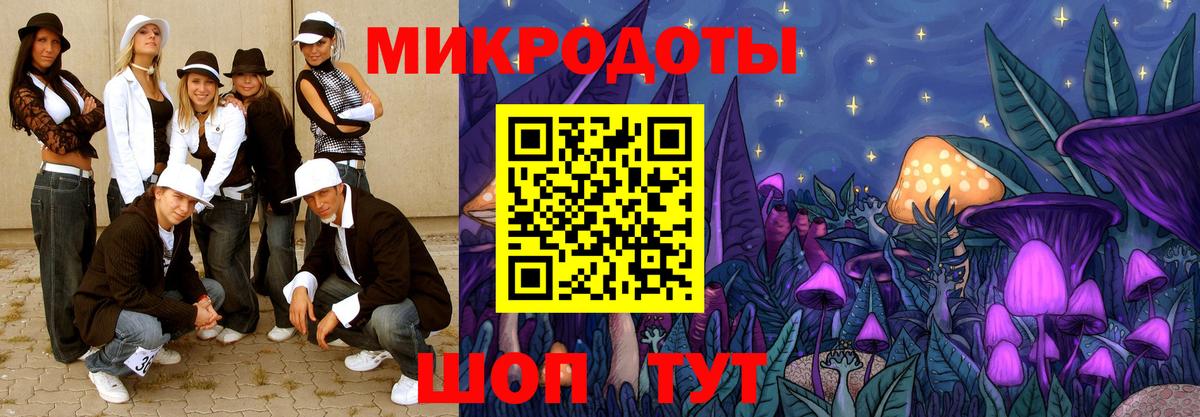 Владимир  Галлюциногенные грибы Psilocybe  Вход с VPN 